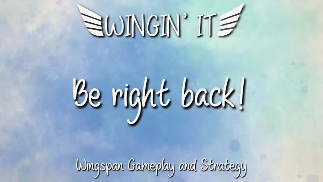 Wingspan Open|Motherhood vs Wingspan
<tag-add

