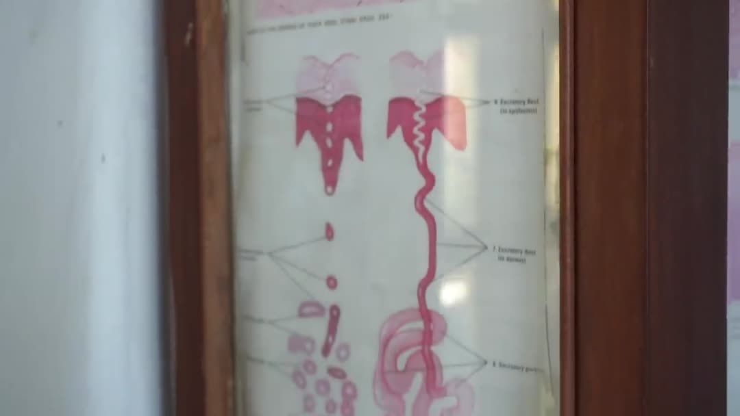 Campus tour of one of the largest medical colleges in Asia|GMC Nagpur tour|Anuj Pachhel.
<tag-add
